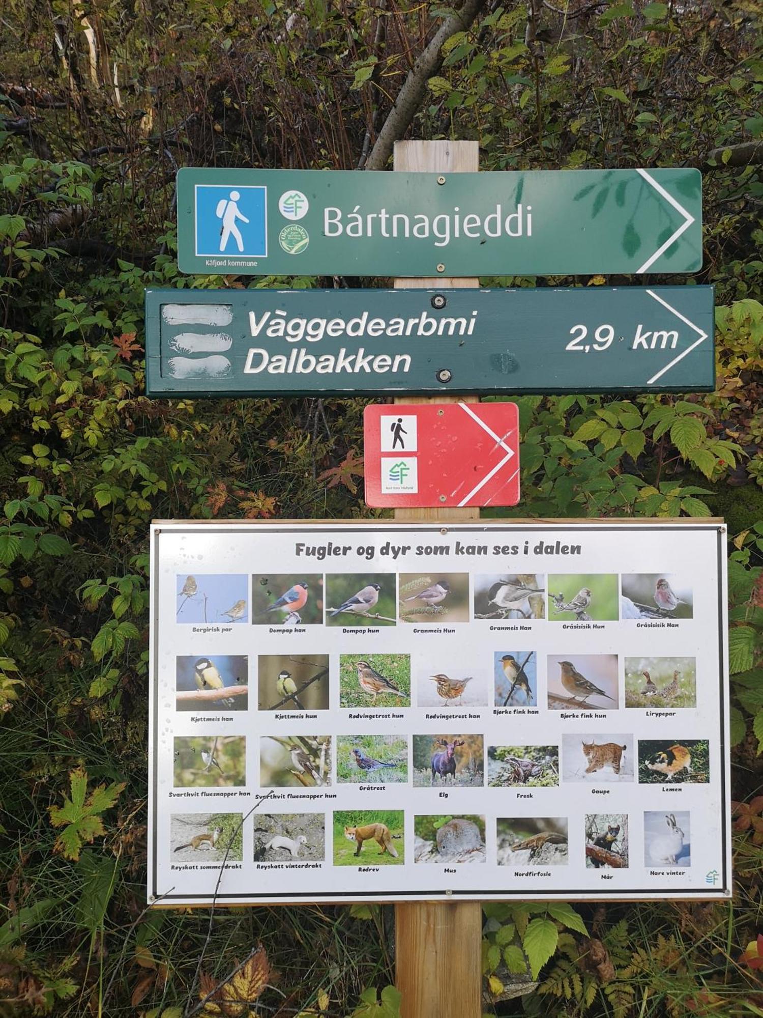 Best No1 Manndalen Exterior foto